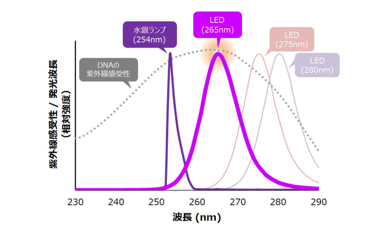 DNA紫外線感受性と発光波長の関係